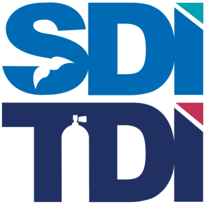 TDI-SDI